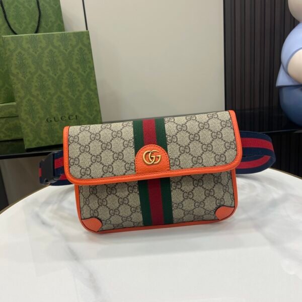 GG Gucci Bag 513