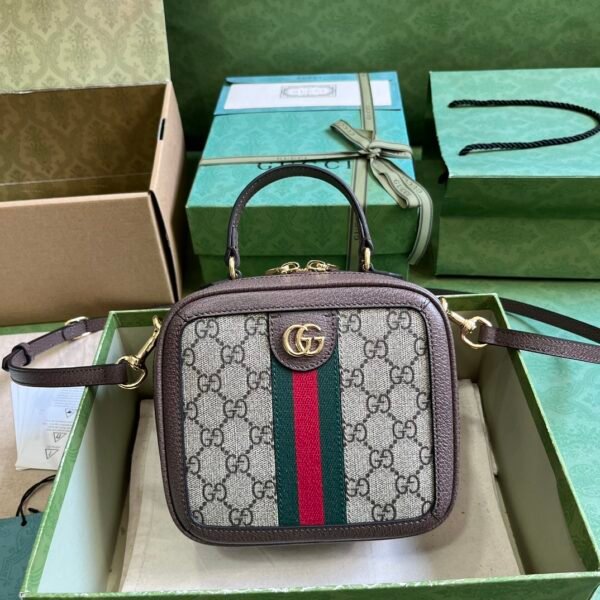 GG Gucci Bag 817